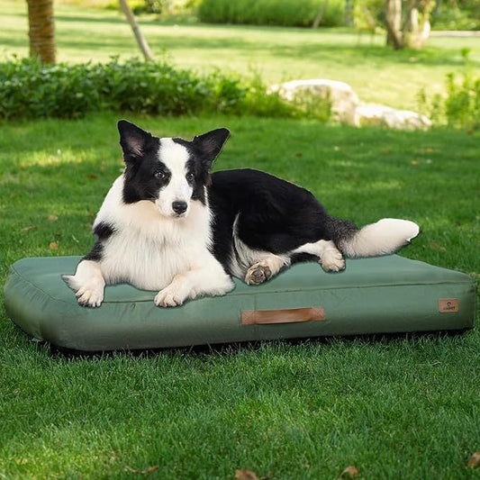 WagZivo Portable Dog Travel Mat