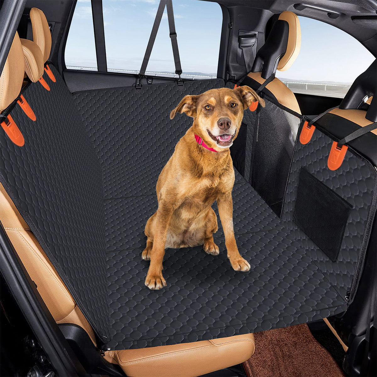 Dog sitting on the black hammock installed across a rear bench seat